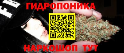 ПСИЛОЦИБИНОВЫЕ ГРИБЫ Анапа