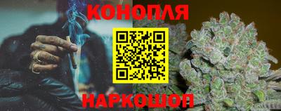 гидропоника Аша