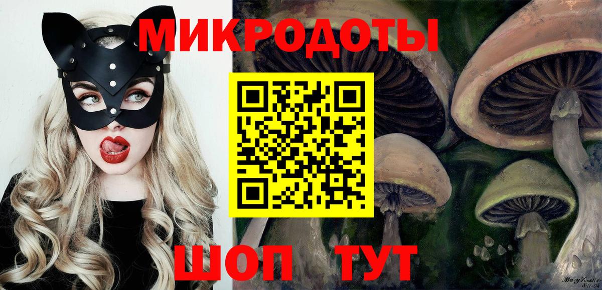 Солнечногорск  Псилоцибиновые грибы Psilocybine cubensis  Вход с VPN 