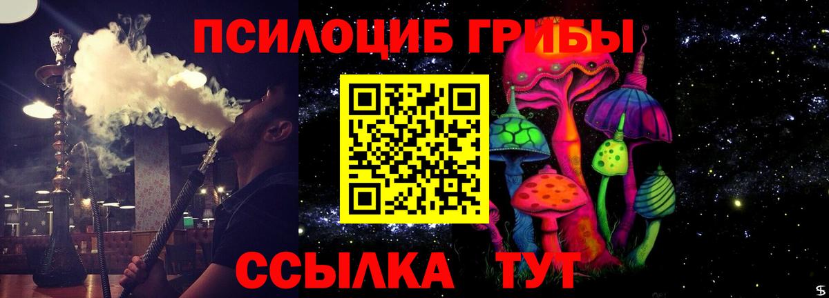 Галлюциногенные грибы Psilocybine cubensis Солнечногорск